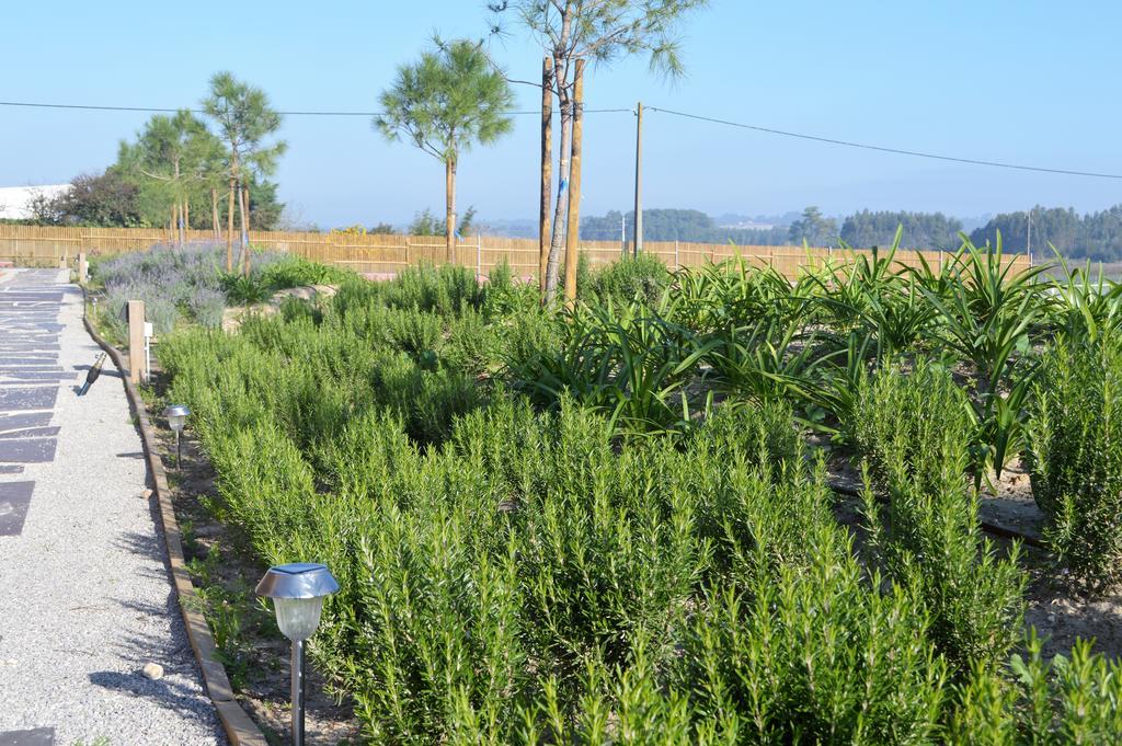 Obidos Wood Villas Olho Marinho エクステリア 写真